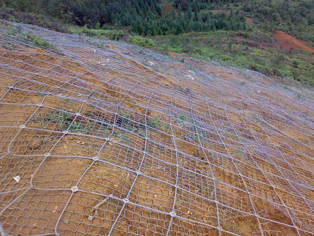 䓽z���x�����ӷ��o�W(w��ng)