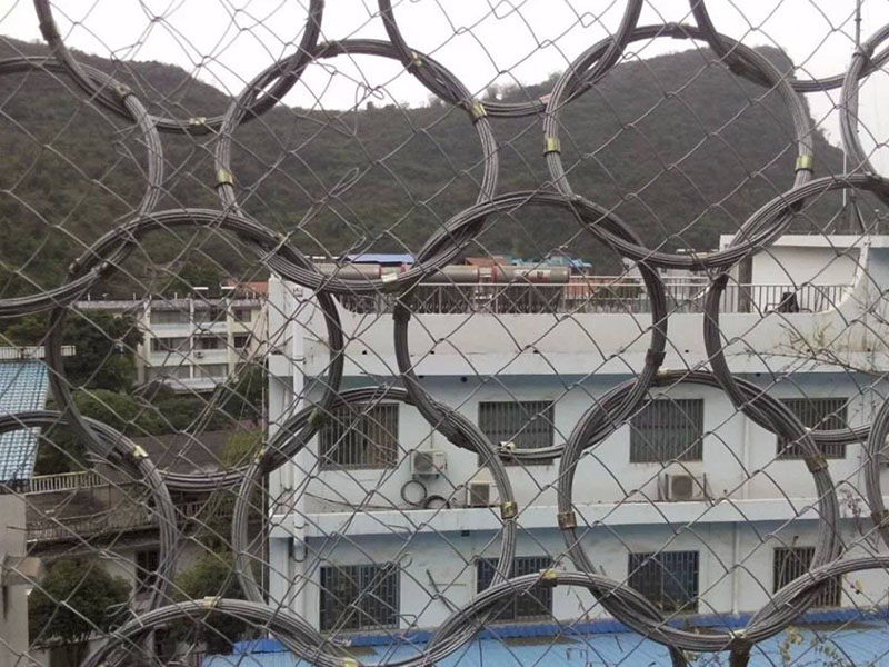 RXI-200�ͱ���(d��ng)���o(h��)�W(w��ng)