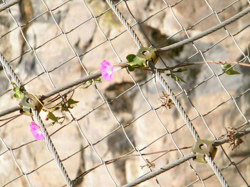 RX-025�ͱ��ӷ��o�W